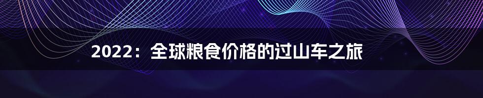 2022:全球粮食价格的过山车之旅