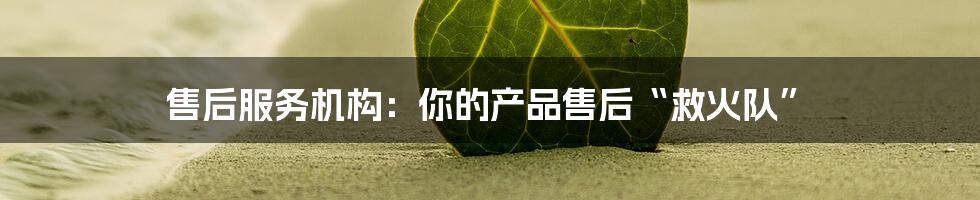 售后服务机构：你的产品售后“救火队”