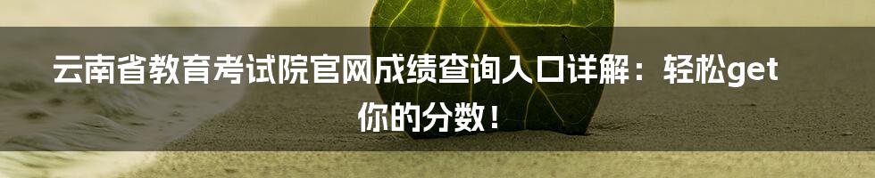 云南省教育考试院官网成绩查询入口详解：轻松get你的分数！