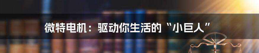 微特电机:驱动你生活的“小巨人”