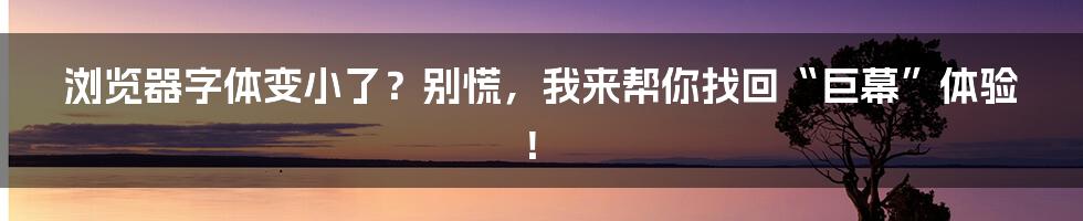 浏览器字体变小了？别慌，我来帮你找回“巨幕”体验！