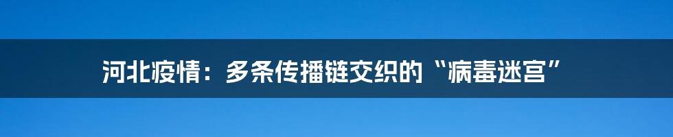 河北疫情：多条传播链交织的“病毒迷宫”