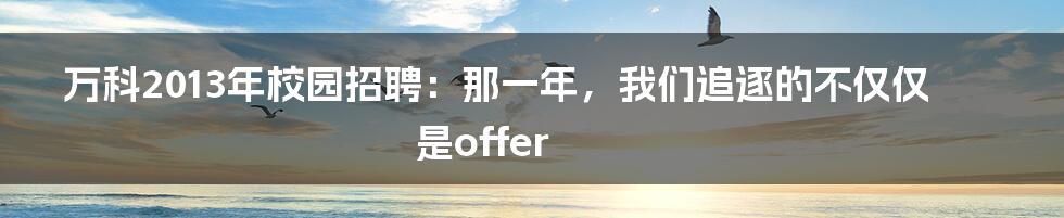 万科2013年校园招聘：那一年，我们追逐的不仅仅是offer