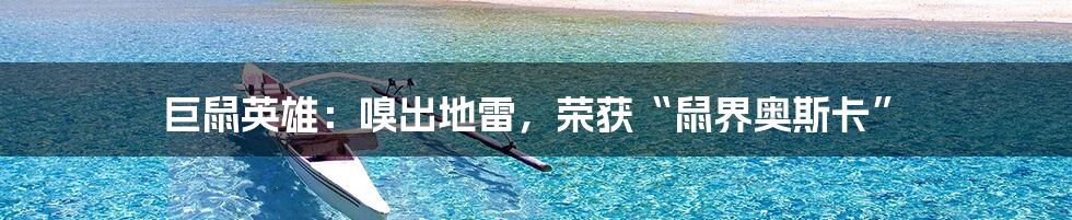 巨鼠英雄：嗅出地雷，荣获“鼠界奥斯卡”