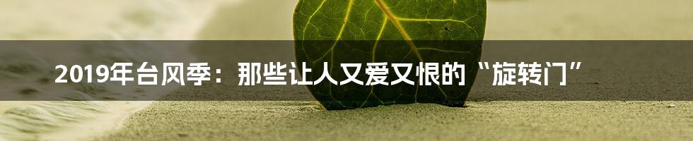 2019年台风季:那些让人又爱又恨的“旋转门”
