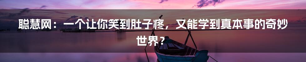 聪慧网:一个让你笑到肚子疼,又能学到真本事的奇妙世界?