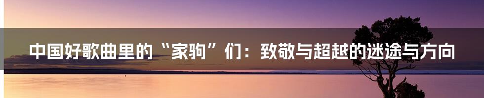 中国好歌曲里的“家驹”们:致敬与超越的迷途与方向