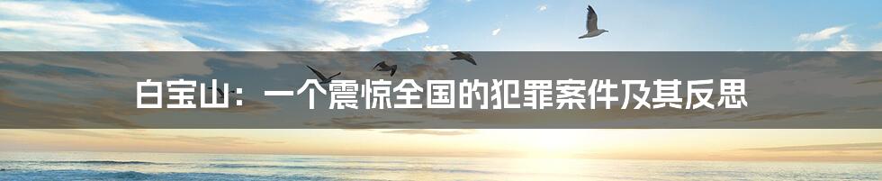白宝山:一个震惊全国的犯罪案件及其反思