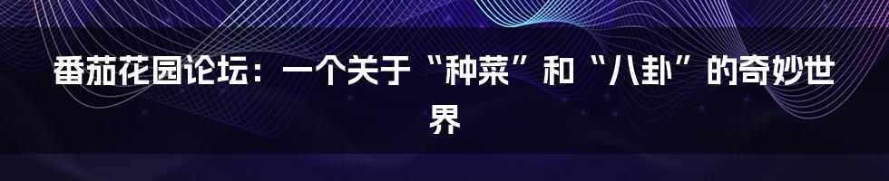 番茄花园论坛：一个关于“种菜”和“八卦”的奇妙世界