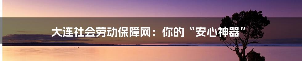 大连社会劳动保障网:你的“安心神器”