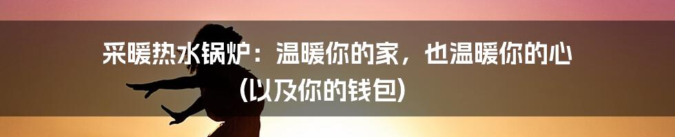 采暖热水锅炉：温暖你的家，也温暖你的心 (以及你的钱包)