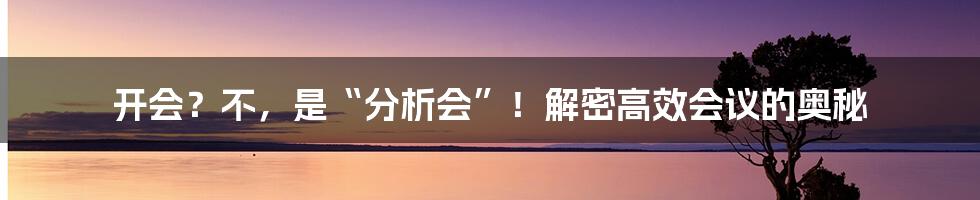 开会？不，是“分析会”！解密高效会议的奥秘