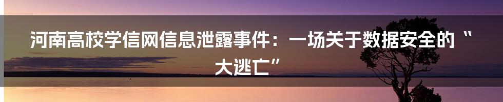 河南高校学信网信息泄露事件:一场关于数据安全的“大逃亡”