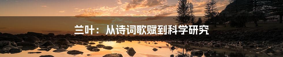 兰叶:从诗词歌赋到科学研究