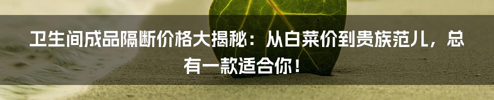 卫生间成品隔断价格大揭秘:从白菜价到贵族范儿,总有一款适合你!