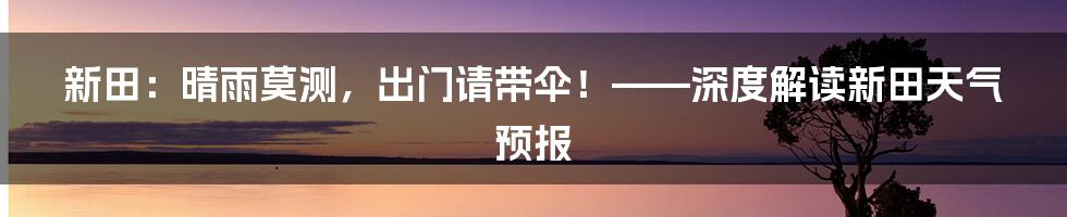 新田:晴雨莫测,出门请带伞!——深度解读新田天气预报