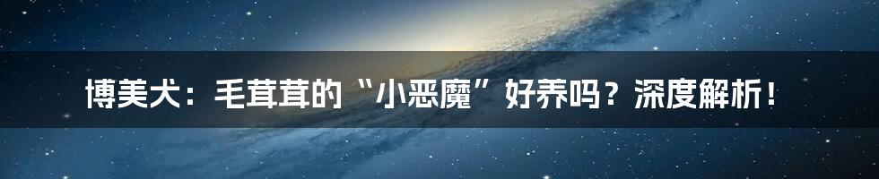 博美犬:毛茸茸的“小恶魔”好养吗?深度解析!