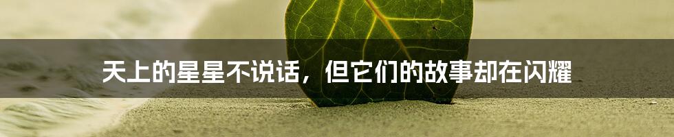 天上的星星不说话,但它们的故事却在闪耀