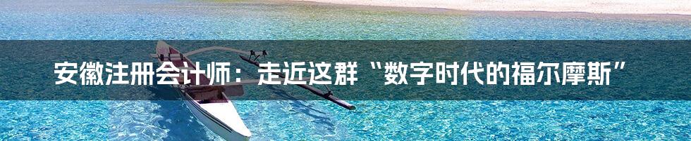 安徽注册会计师：走近这群“数字时代的福尔摩斯”