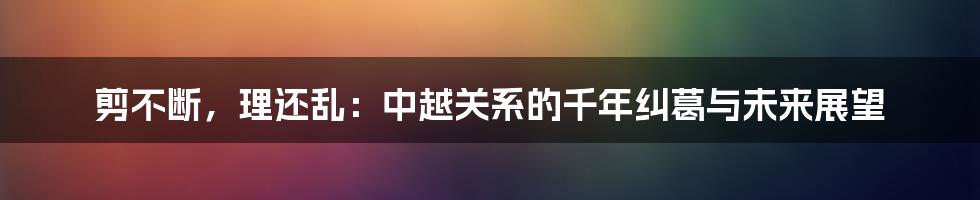 剪不断,理还乱:中越关系的千年纠葛与未来展望