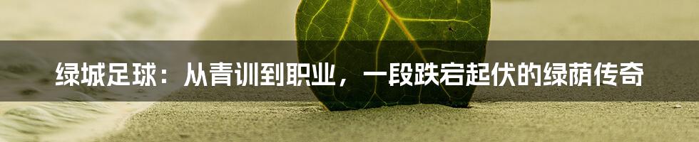 绿城足球：从青训到职业，一段跌宕起伏的绿荫传奇