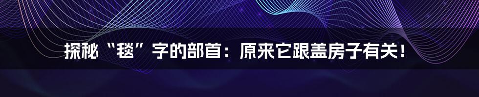 探秘“毯”字的部首:原来它跟盖房子有关!