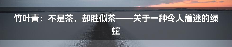 竹叶青:不是茶,却胜似茶——关于一种令人着迷的绿蛇