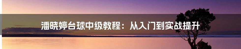 潘晓婷台球中级教程：从入门到实战提升