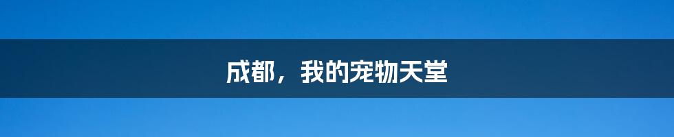 成都，我的宠物天堂