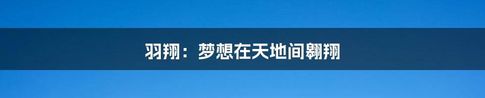 羽翔：梦想在天地间翱翔