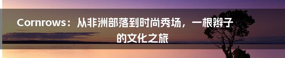 Cornrows:从非洲部落到时尚秀场,一根辫子的文化之旅