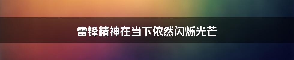 雷锋精神在当下依然闪烁光芒