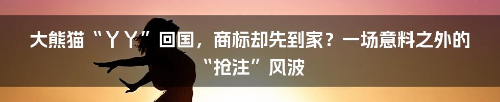 大熊猫“丫丫”回国，商标却先到家？一场意料之外的“抢注”风波
