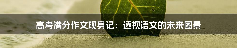 高考满分作文现身记:透视语文的未来图景