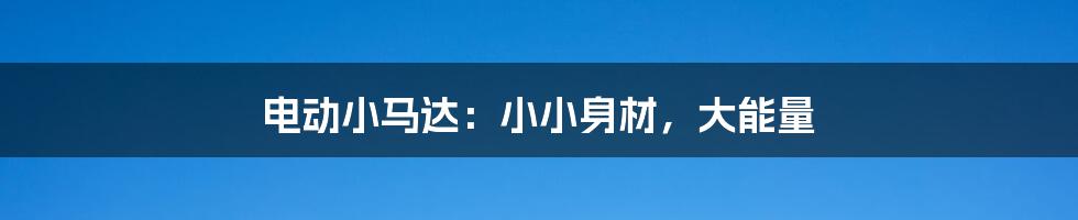 电动小马达：小小身材，大能量