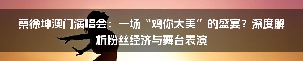 蔡徐坤澳门演唱会：一场“鸡你太美”的盛宴？深度解析粉丝经济与舞台表演