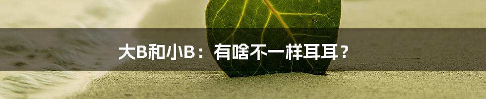 大B和小B：有啥不一样耳耳？