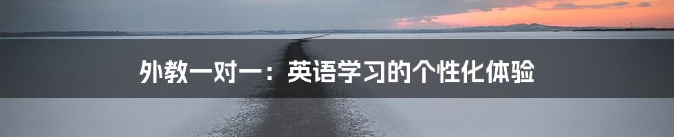 外教一对一：英语学习的个性化体验