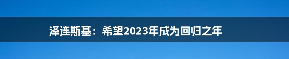泽连斯基：希望2023年成为回归之年
