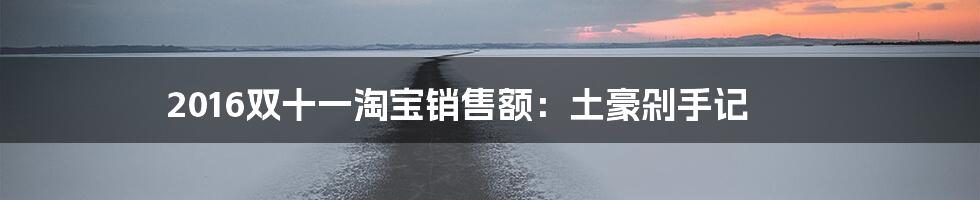 2016双十一淘宝销售额：土豪剁手记