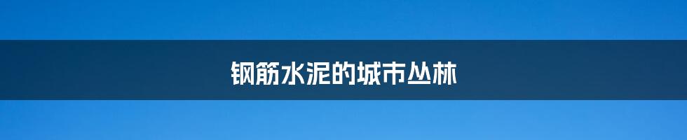 钢筋水泥的城市丛林