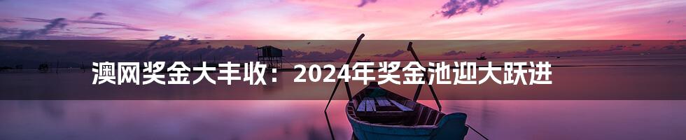 澳网奖金大丰收:2024年奖金池迎大跃进