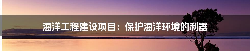海洋工程建设项目：保护海洋环境的利器
