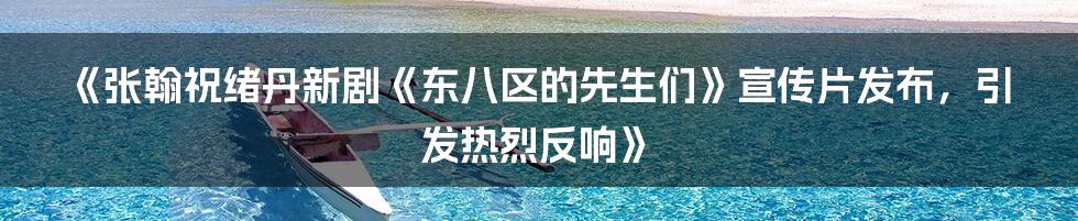《张翰祝绪丹新剧《东八区的先生们》宣传片发布,引发热烈反响》