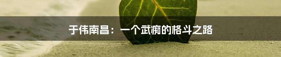 于伟南昌：一个武痴的格斗之路
