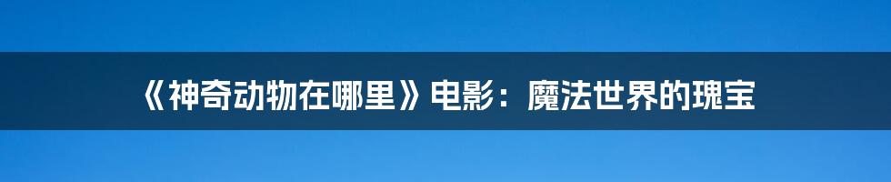 《神奇动物在哪里》电影：魔法世界的瑰宝