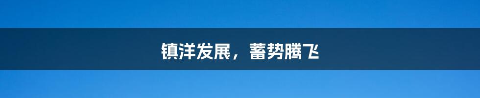 镇洋发展,蓄势腾飞
