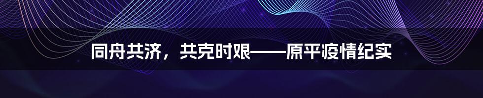 同舟共济，共克时艰——原平疫情纪实