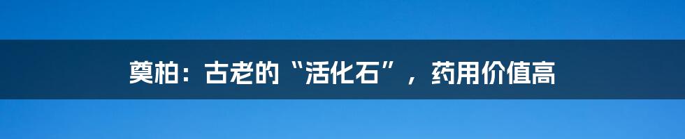 奠柏:古老的“活化石”,药用价值高