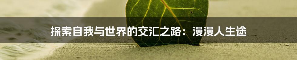 探索自我与世界的交汇之路：漫漫人生途